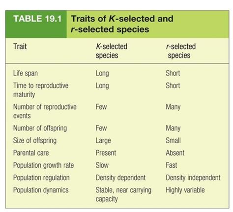 r-selected species vs k-selected species|45.3B: Theories of Life History .